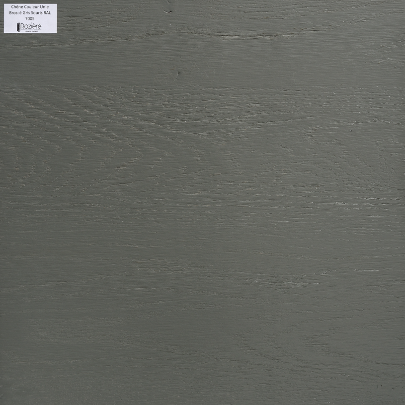 Gris souris RAL 7005 couleur unie