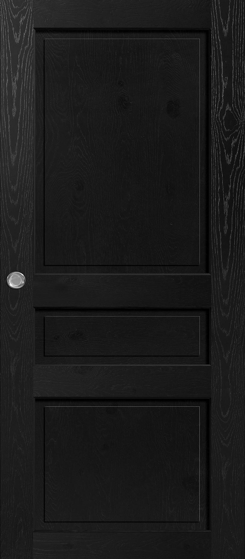 Porte Intérieure Bois Coulissante - Quercy - Chêne rustique noir foncé RAL 9005